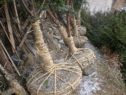 景觀中國——中國景觀行業(yè)門戶