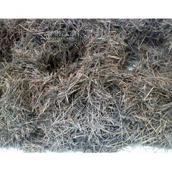 靈寶市伏秦苗木花卉繁育中心