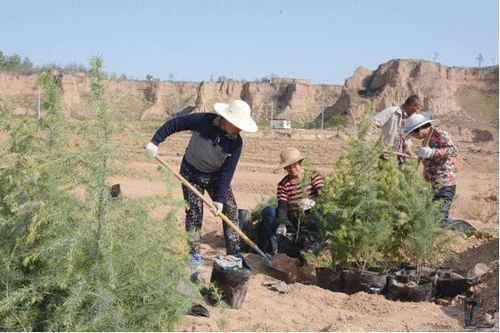 河津市潤興園苗木培育